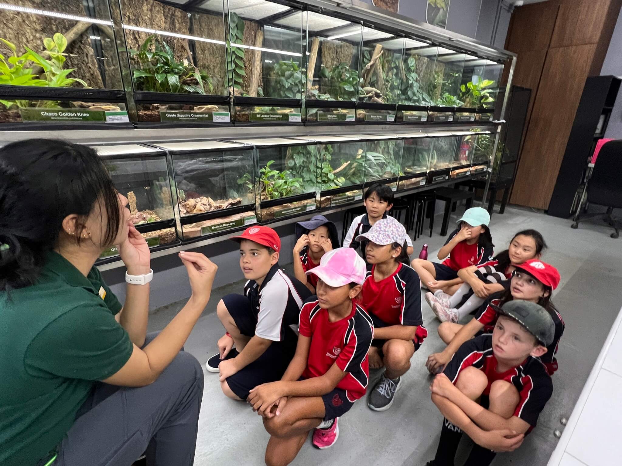 Field Trip To the Zoo | Stamford American International School (SAIS)